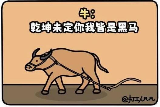 牛马三件套：房贷、车贷、传宗接代 完整解读